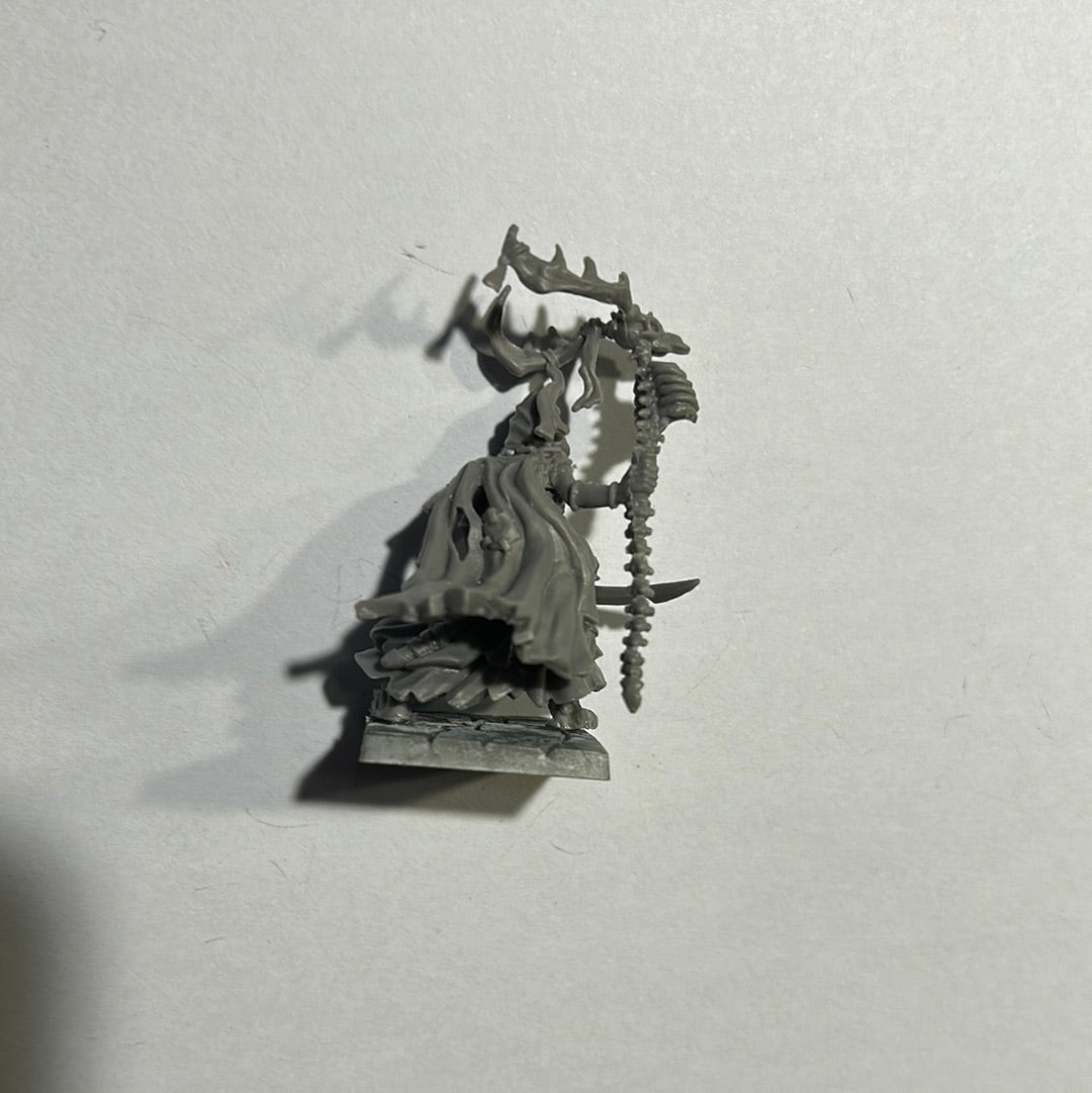 Warhammer Fantasy proxy Undead Vampire Counts Necromancer (made by manic think)