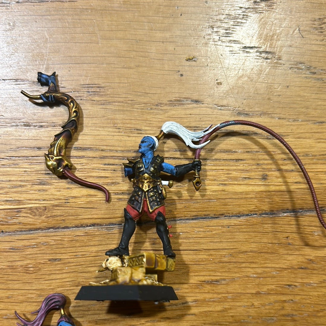Dark elf beast masters warhammer fantasy old world