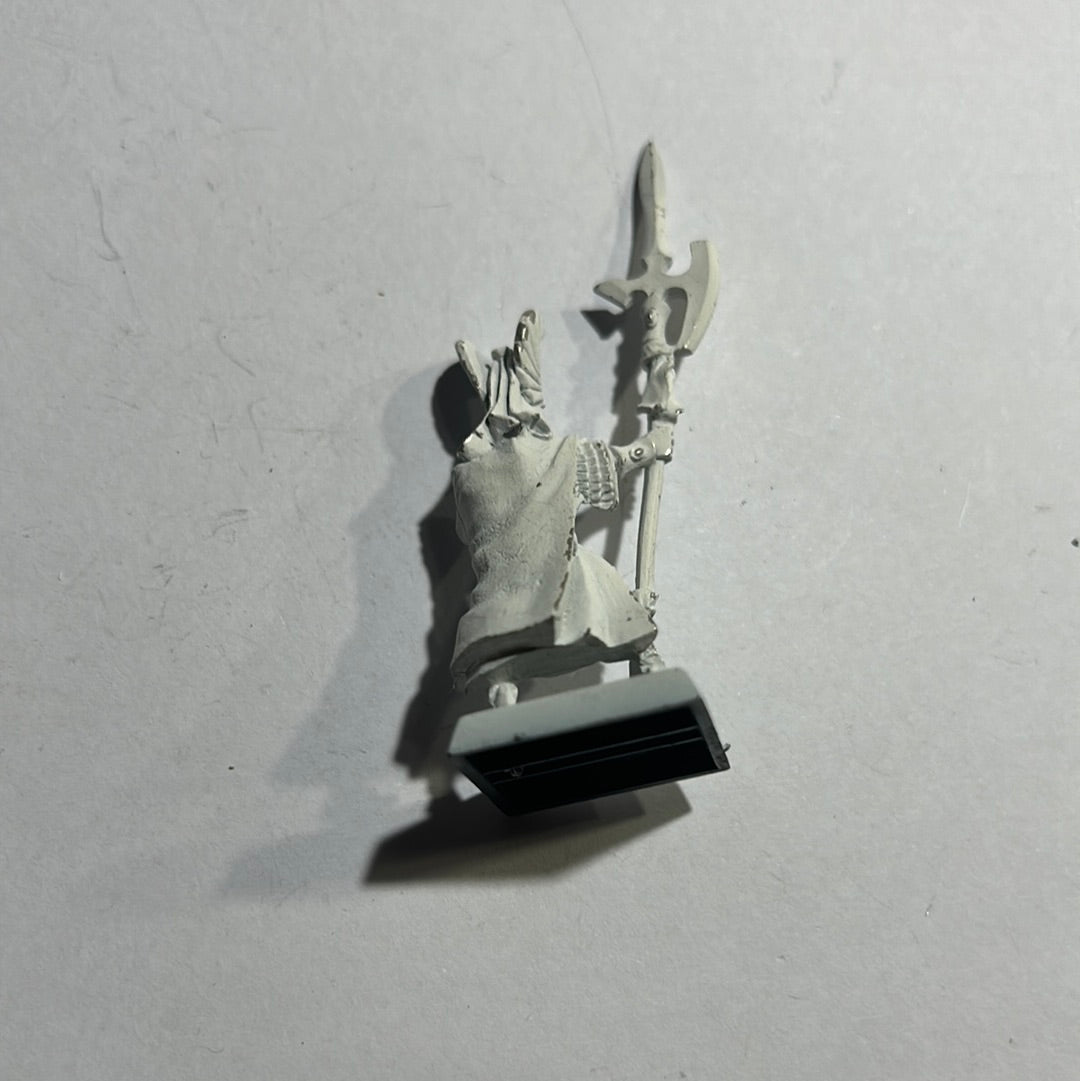 Warhammer Fantasy Old world High elf phoenix guard champion
