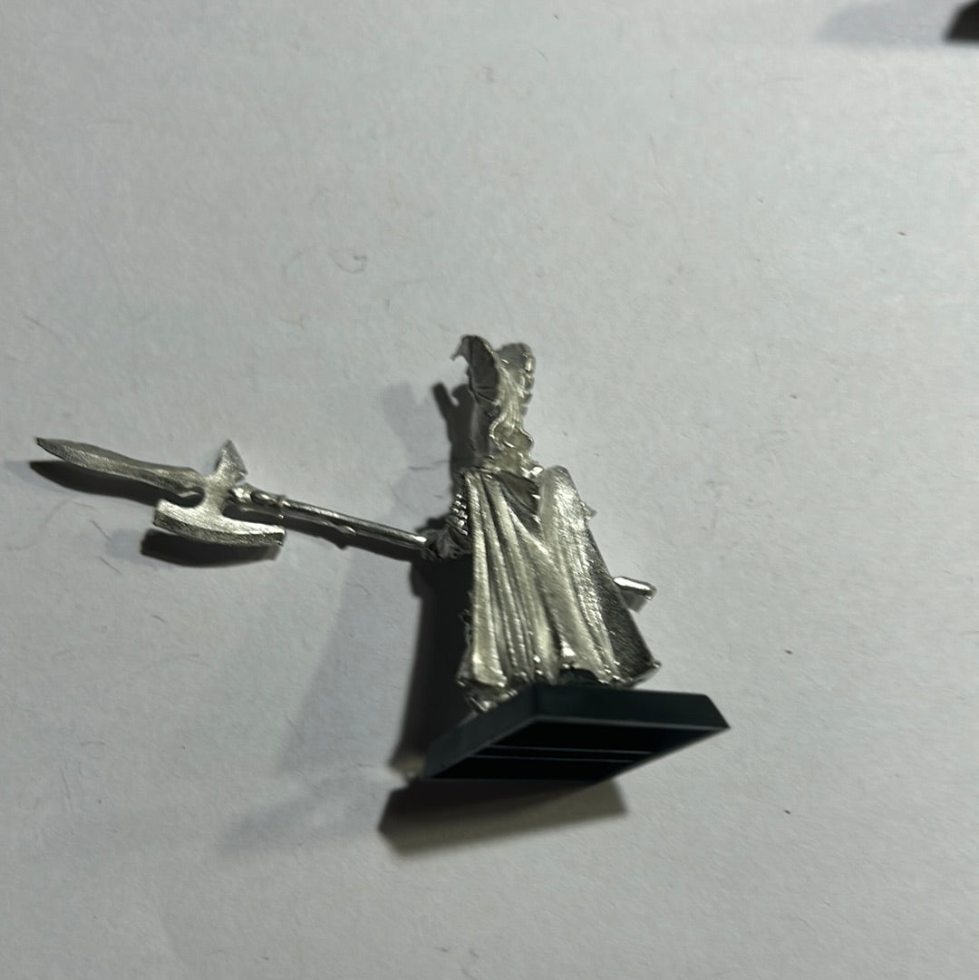Warhammer Fantasy Old world High elf phoenix guard (2 available)