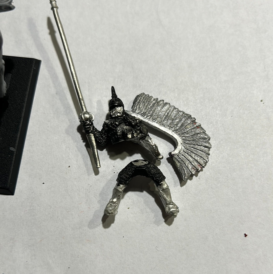Warhammer Fantasy Old World Kislev Winged Lancer