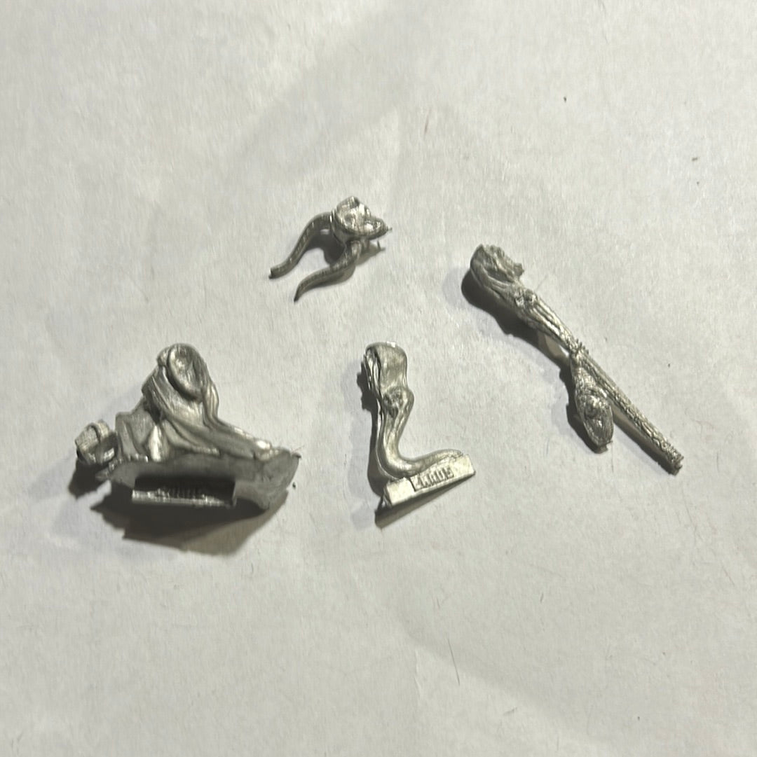 Warhammer Fantasy Old World Chaos Sorcerer with familiar