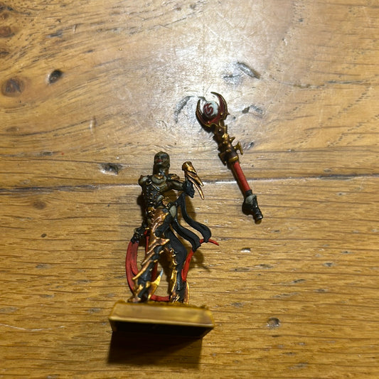 Warhammer fantasy slaanesh-style (not sure if she’s a real GW mini or a proxy) character