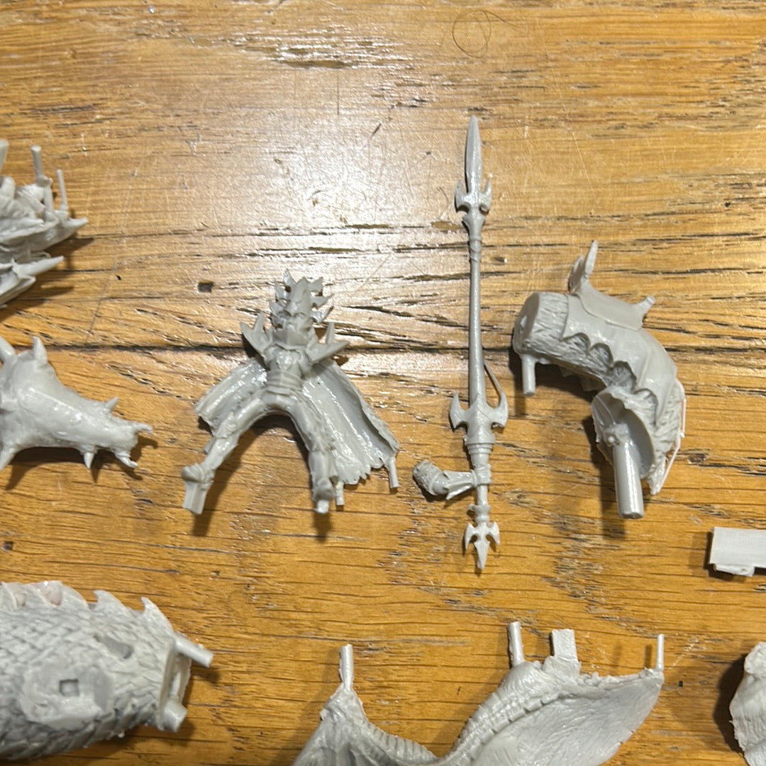 Warhammer Fantasy Proxy Mierce Miniatures Resin Dark Elf Lord on Dragon OOP
