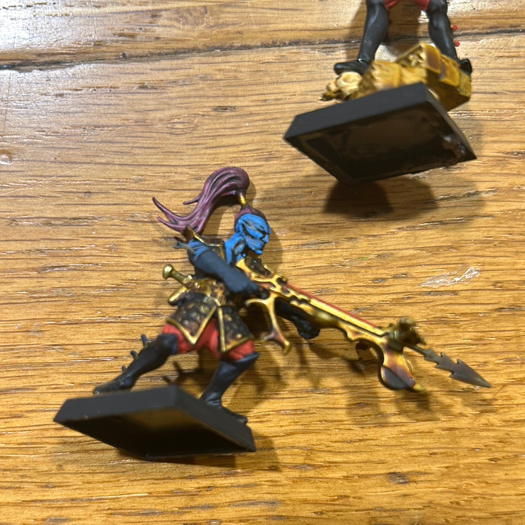 Dark elf beast masters warhammer fantasy old world
