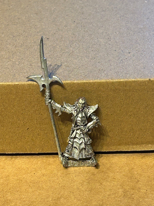 Warhammer Fantasy Dark Elves Elf Black Guard Naggaroth - The Old World Metal