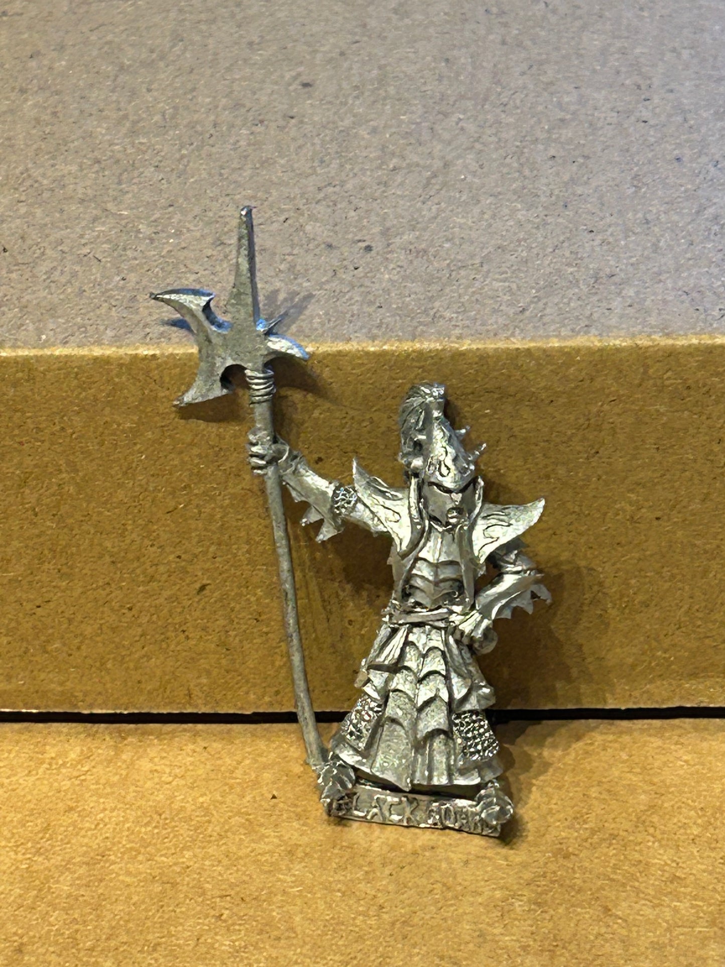 Warhammer Fantasy Dark Elves Elf Black Guard Naggaroth - The Old World Metal