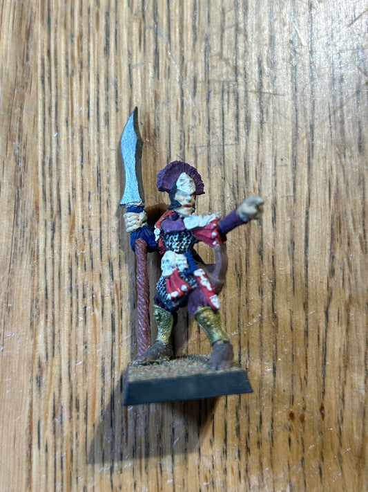 Elf Dark elves metal citadel gw games workshop & marauder Leader Captain Mb3 warhammer fantasy