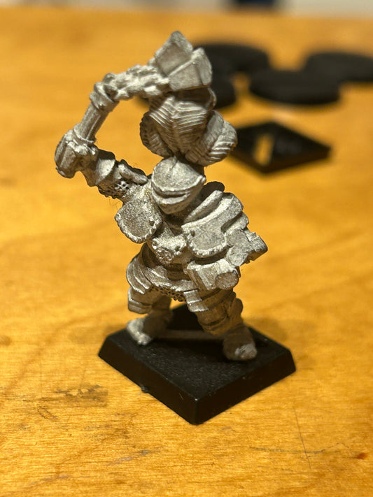 Warhammer Fantasy Old World reiksguard