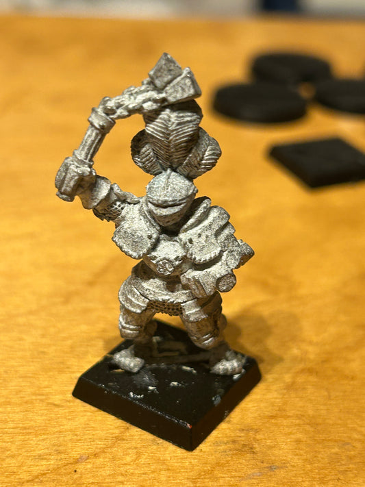 Warhammer Fantasy Old World reiksguard