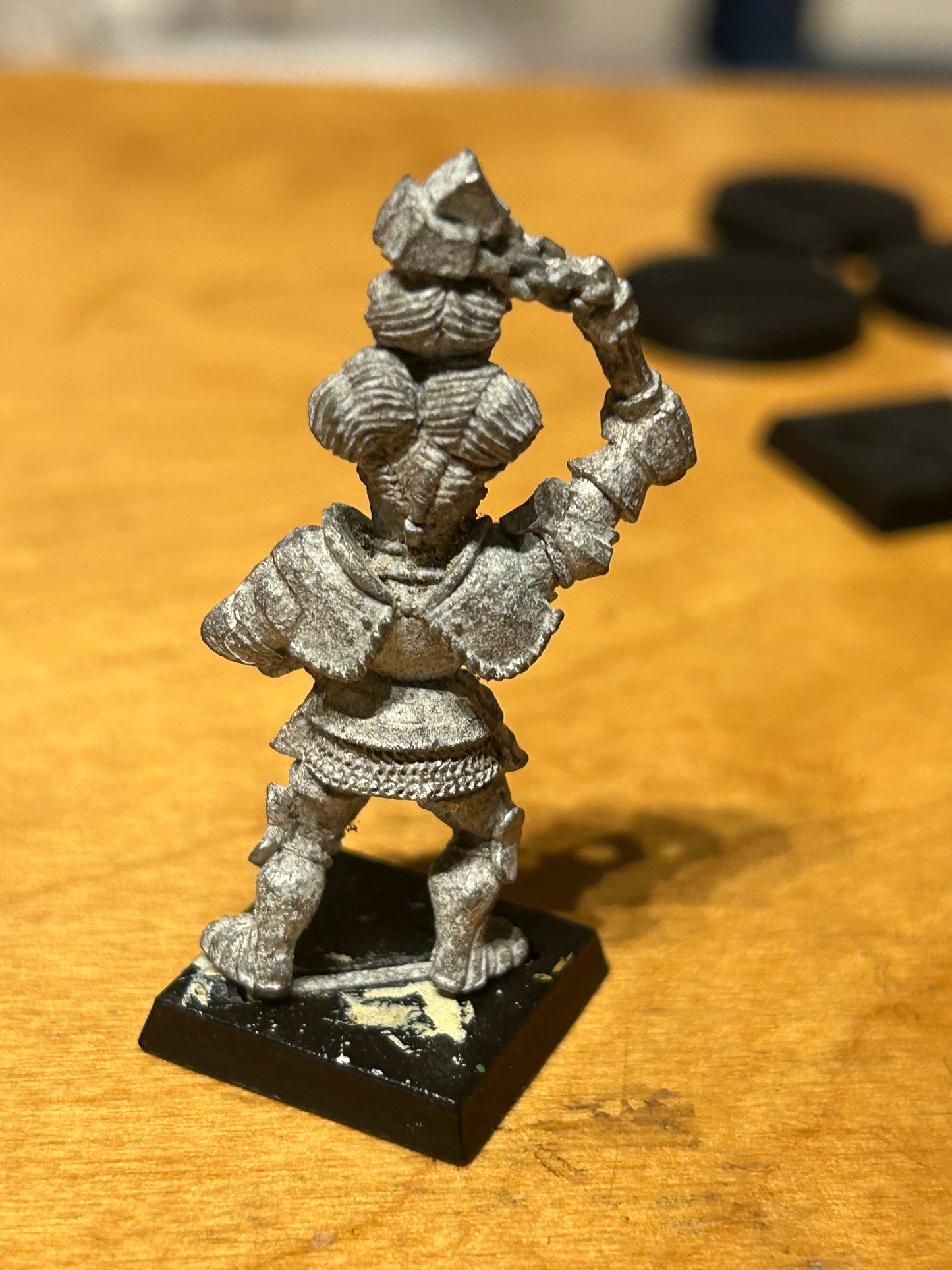Warhammer Fantasy Old World reiksguard