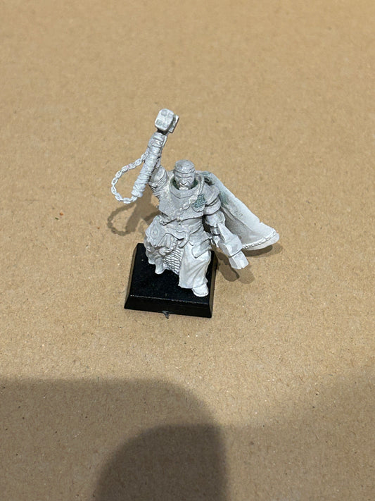 Warhammer fantasy proxy avatars of war warrior priest with two hammers