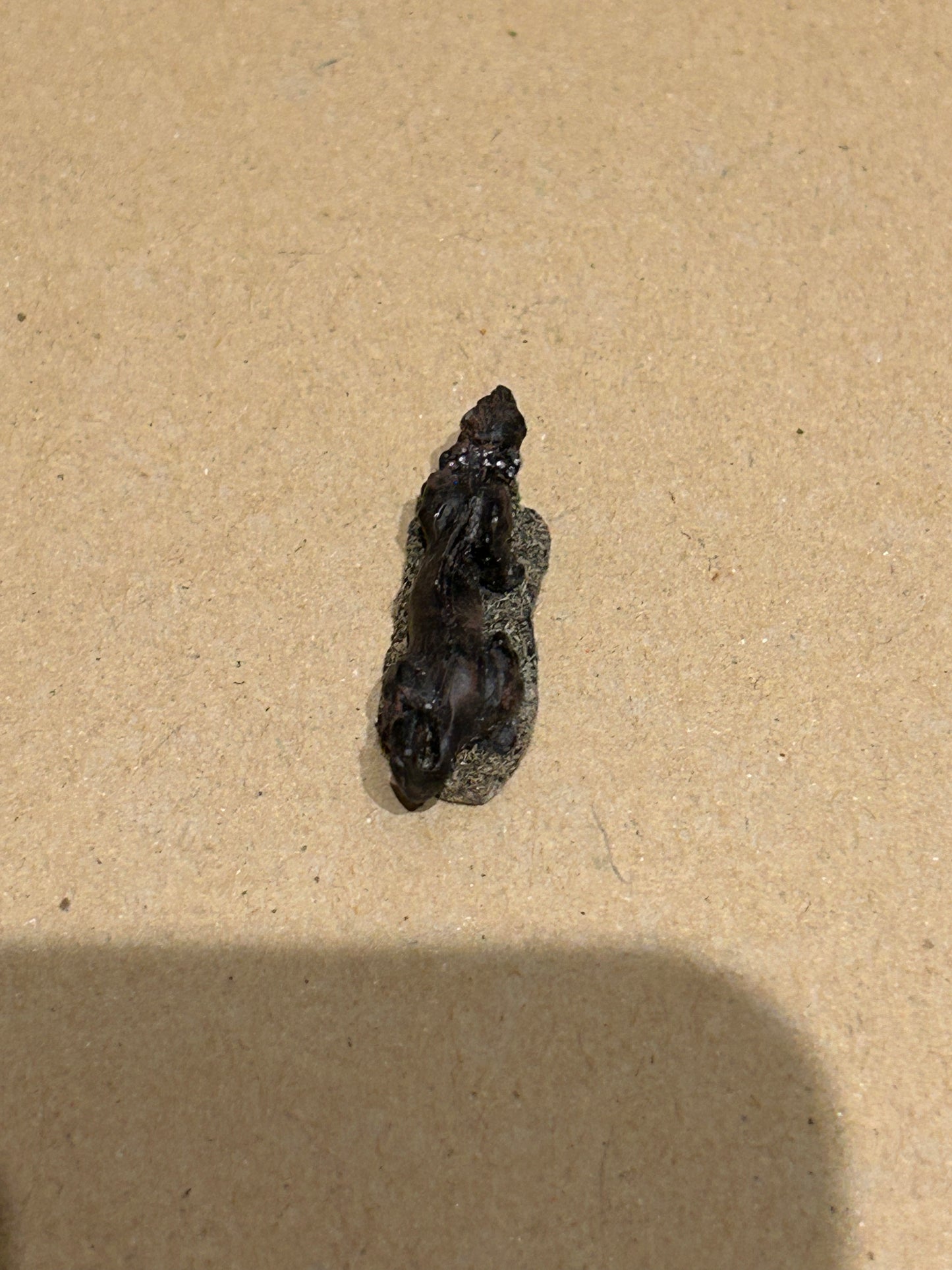 Preslotta fantasy puma/large cat