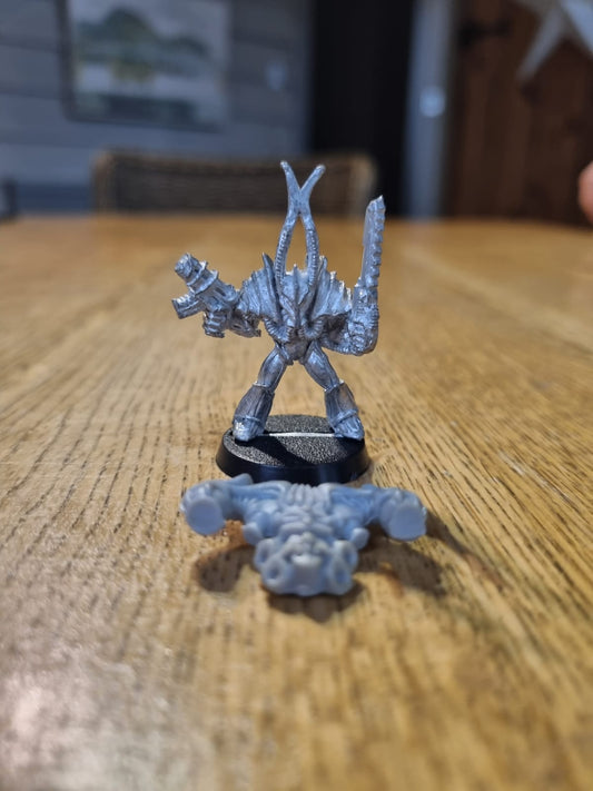 Warhammer 40k Rogue Trader chaos renegade brother cutsoul emperor’s children (includes backpack)