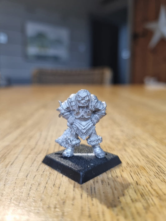 Citadel Chaos Marauder F5 Zarygor Bloodrage Realms of Warhammer Metal Variant