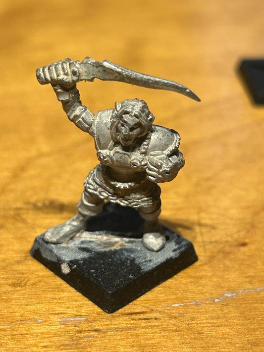 Warhammer Fantasy Marauder miniatures HE1 high elf