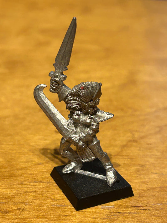 Warhammer fantasy dark elf witch elf marauder miniatures
