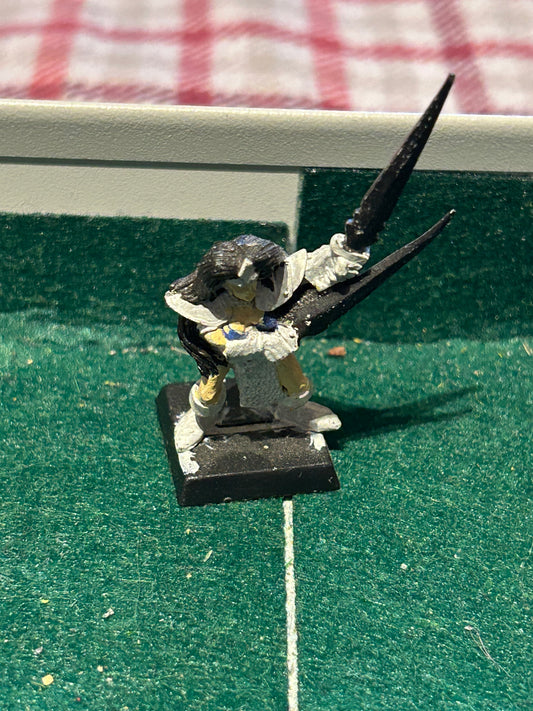Warhammer fantasy dark elf witch elf  marauder miniatures