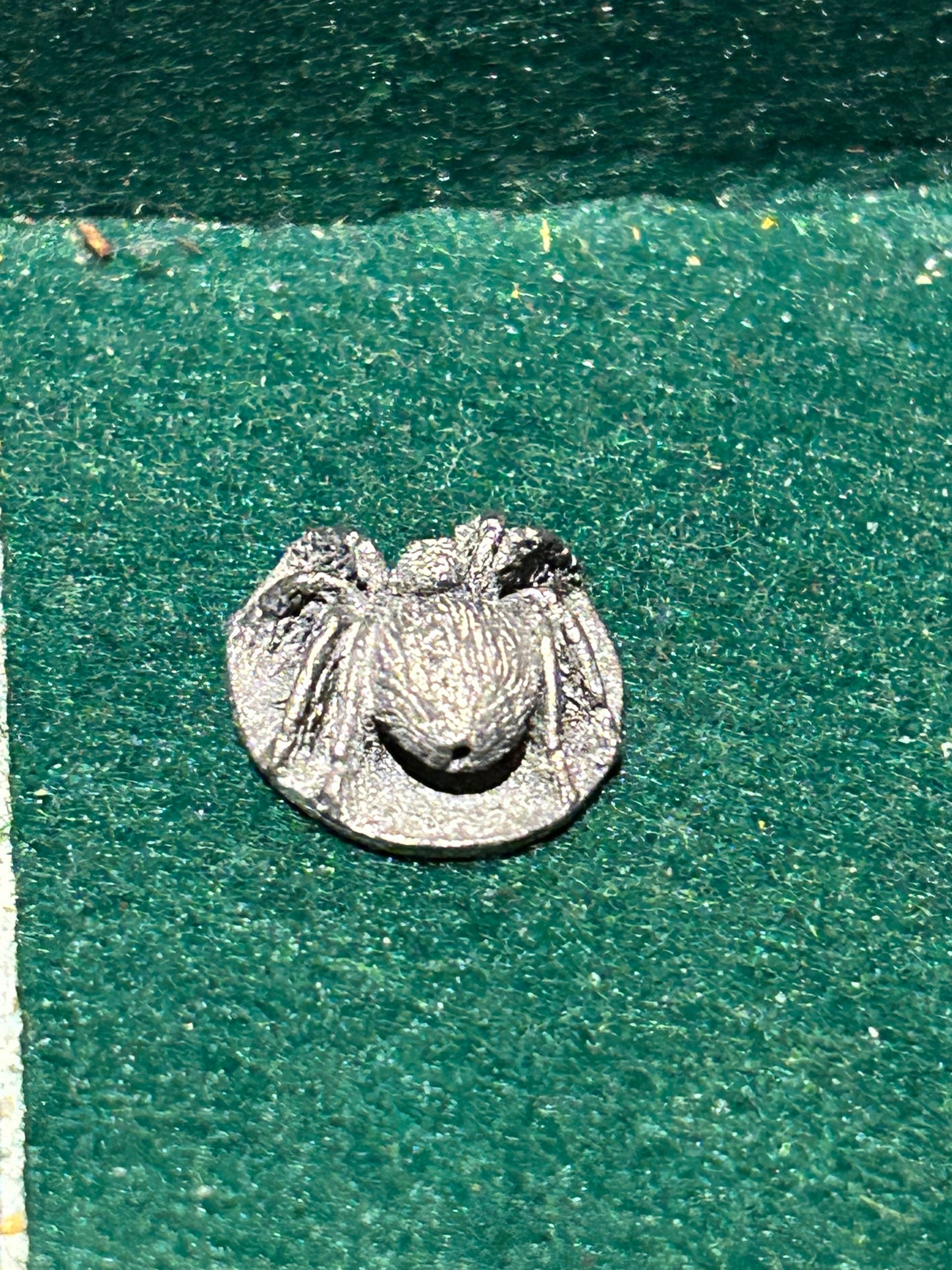 Dungeons and dragons spider creepy crawly