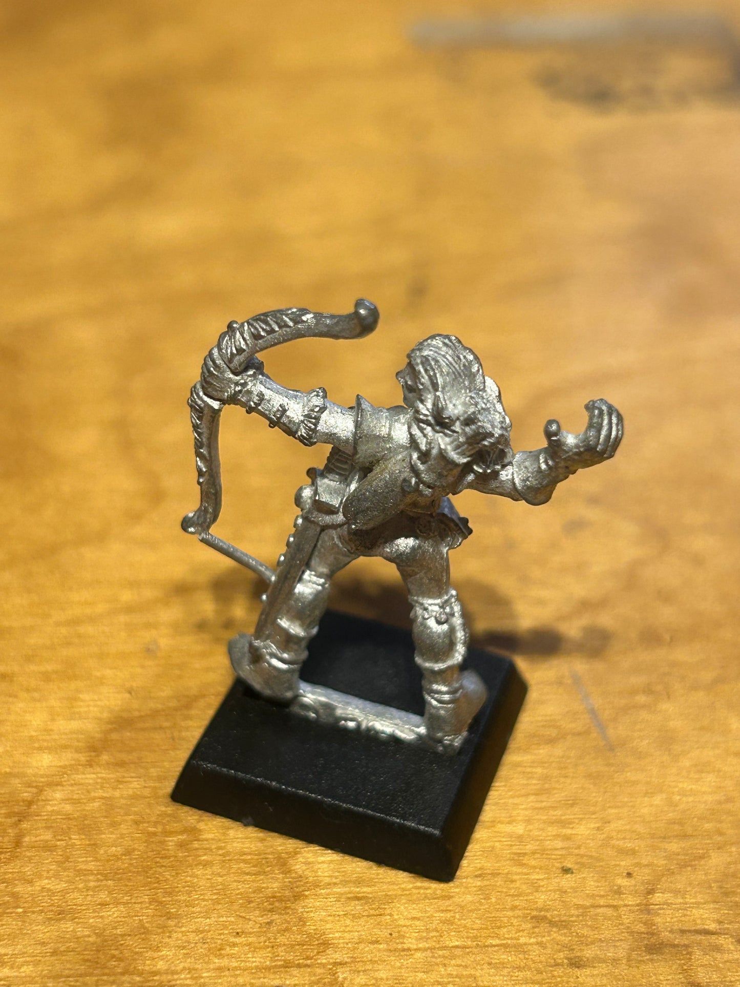 Wood Elf Marauder Archer Scout