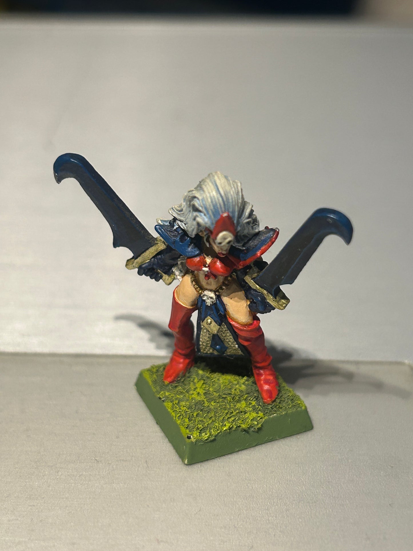 Warhammer fantasy dark elf witch elf marauder miniatures