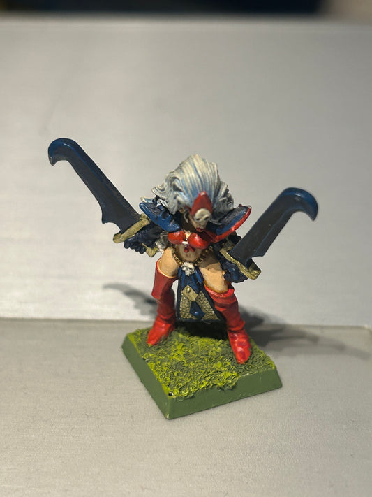 Warhammer fantasy dark elf witch elf marauder miniatures