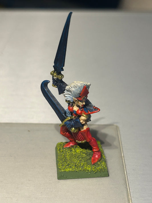 Warhammer fantasy dark elf witch elf marauder miniatures