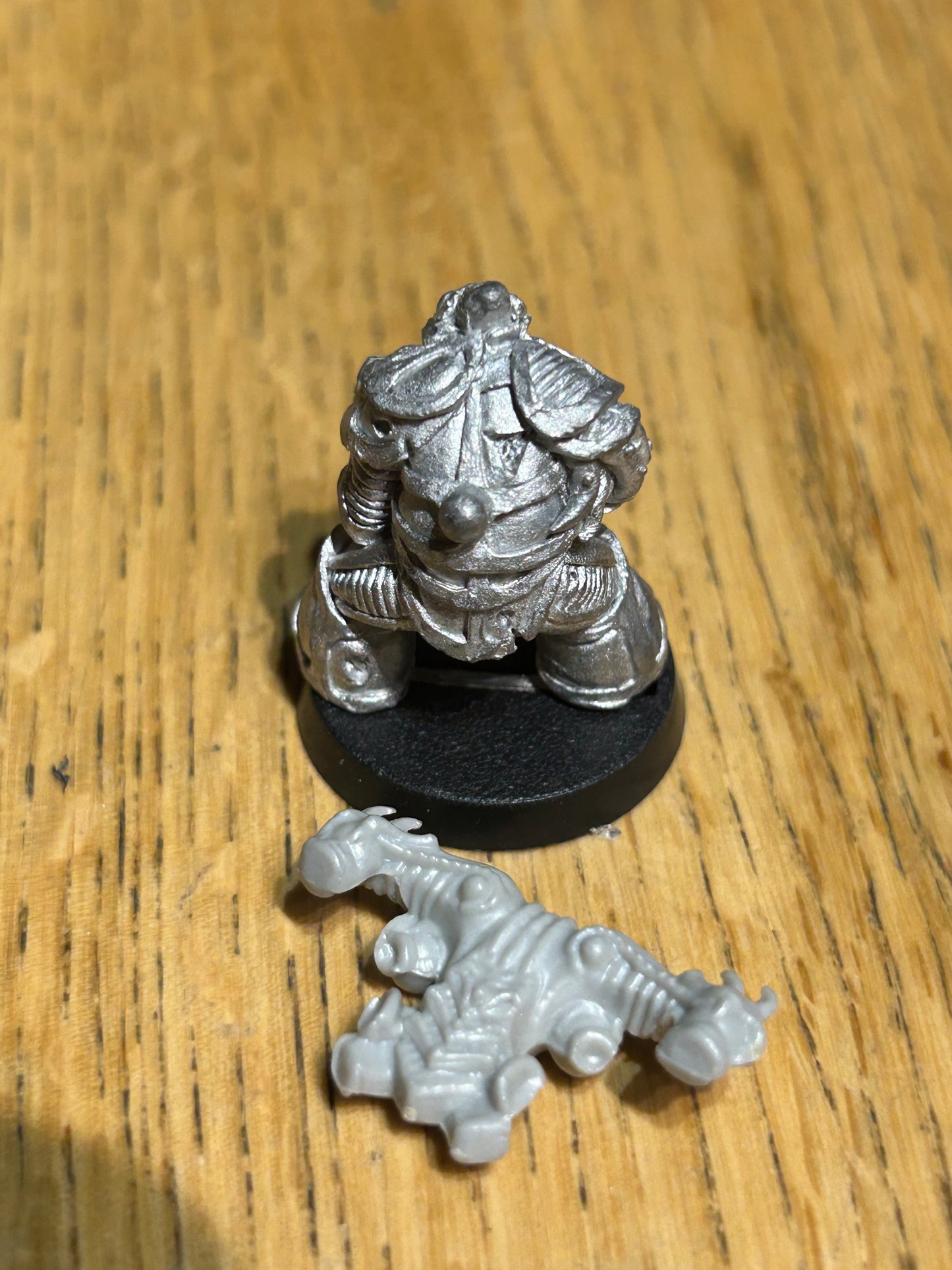 Rogue trader warhammer 40k chaos renegade nurgle mannikin head with backpack