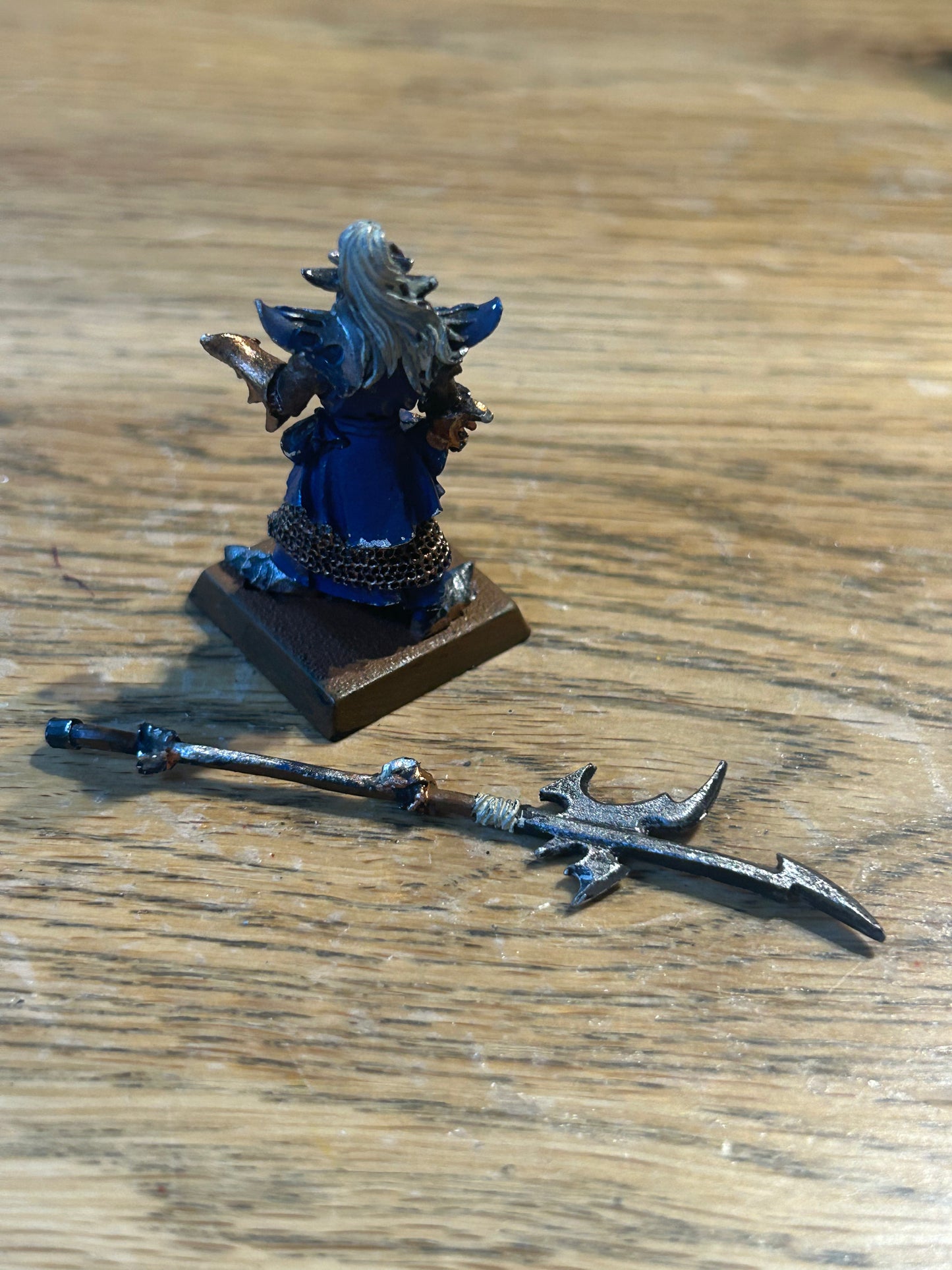 Warhammer Fantasy Dark Elves Elf Black Guard Naggaroth - The Old World Metal