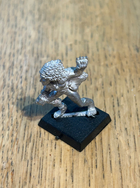 Citadel Warhammer Wood Elf beast master