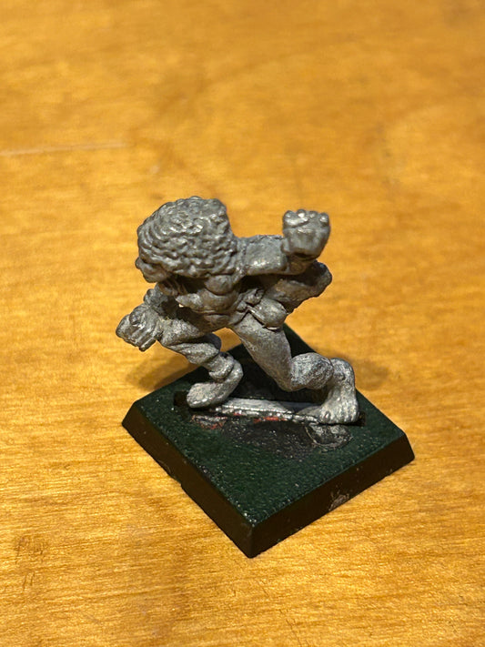 Citadel Warhammer Wood Elf beast master