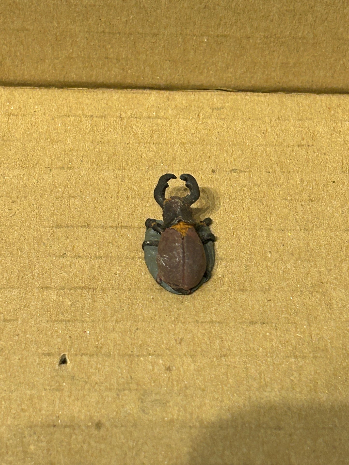 Citadel C29 Creepy Crawlies Beetle Metal OOP fantasy specials large beetle FS40