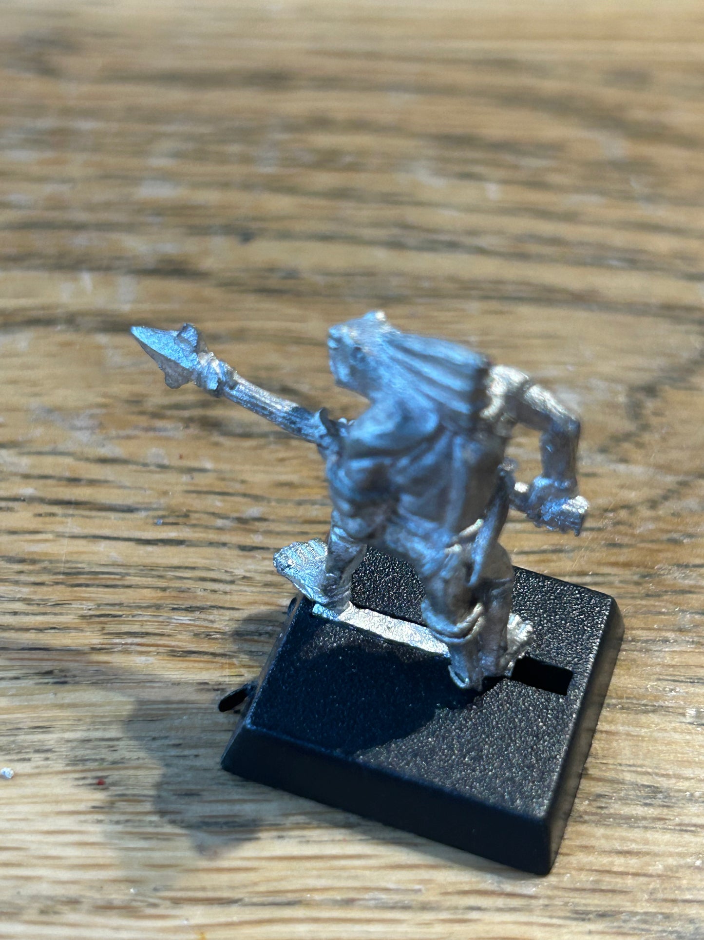 Warhammer fantasy salamander hunting party skink
