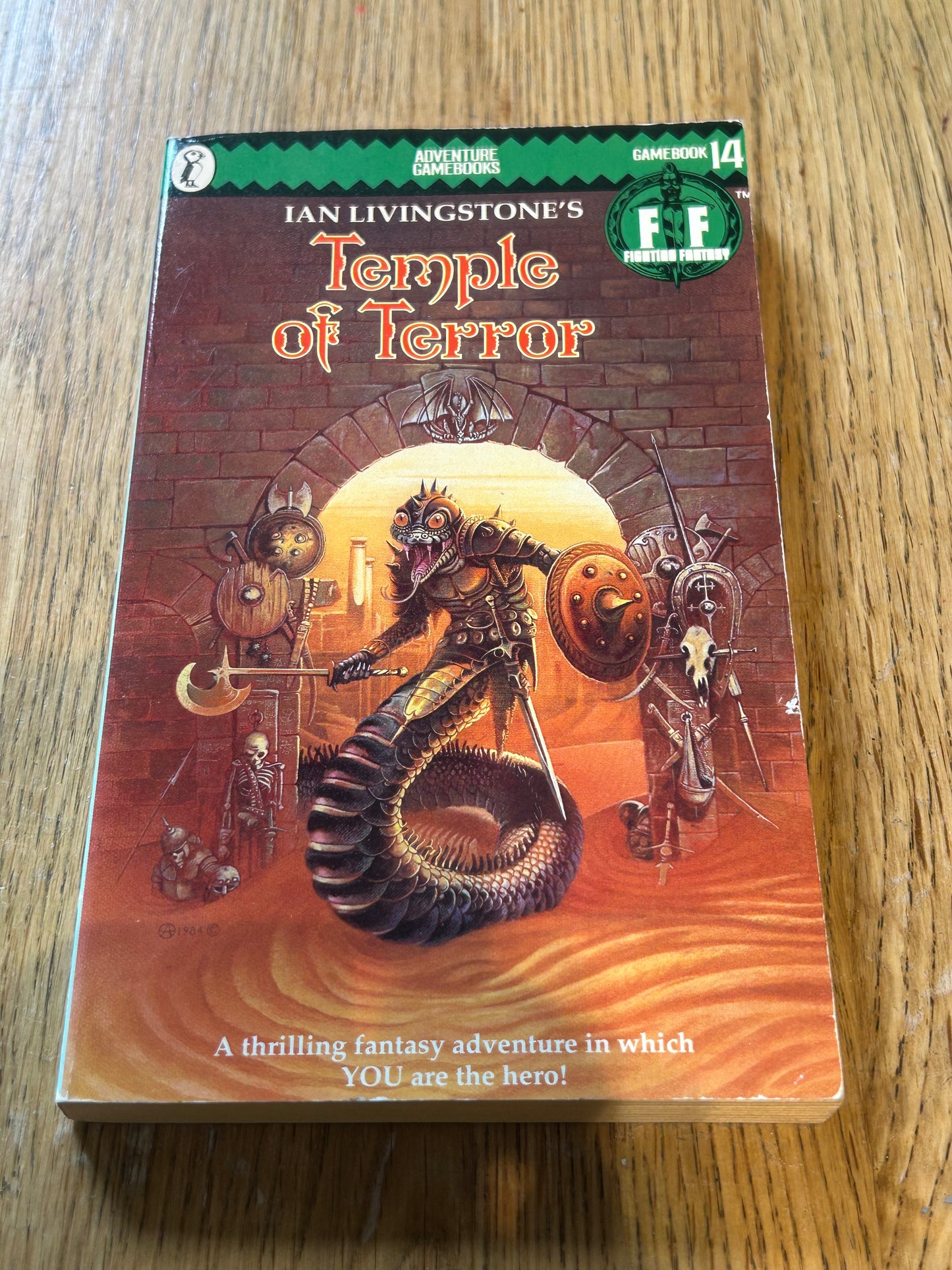 Temple of Terror: Fighting Fantasy Gamebook 14 (Puffin... - Ian, Livingstone