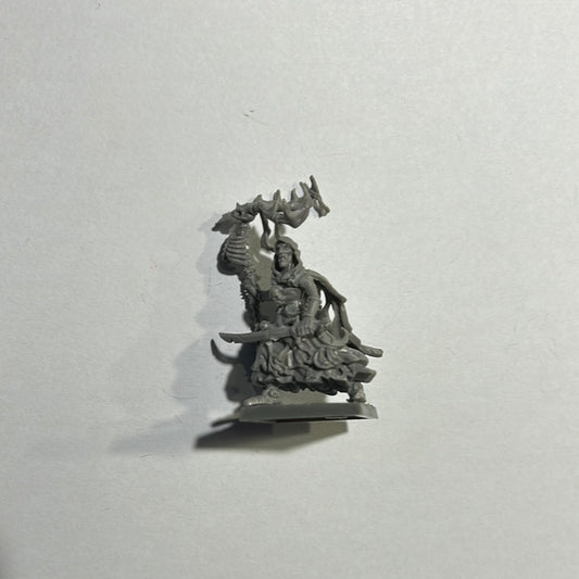 Warhammer Fantasy proxy Undead Vampire Counts Necromancer (made by manic think)