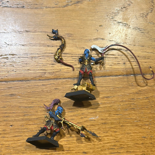 Dark elf beast masters warhammer fantasy old world
