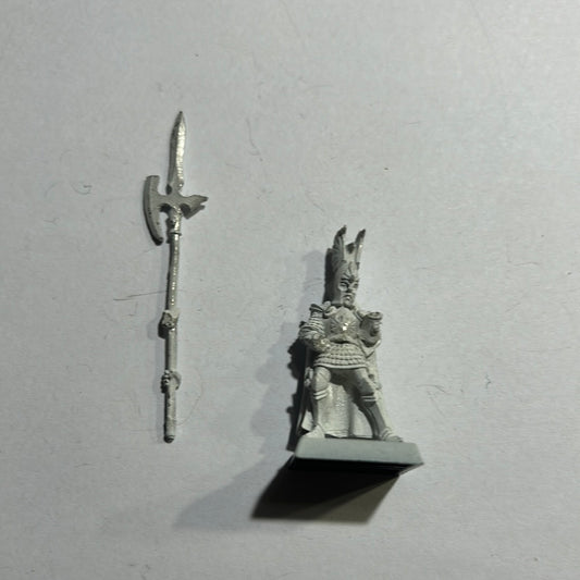 Warhammer Fantasy Old world High elf phoenix guard