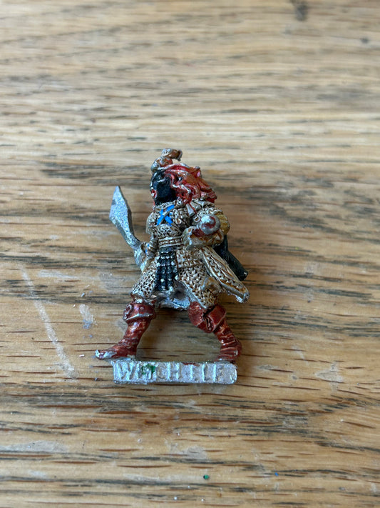 Citadel Warhammer Reg Renown RR4 Mengil Manhide dark Elf Witch Elf