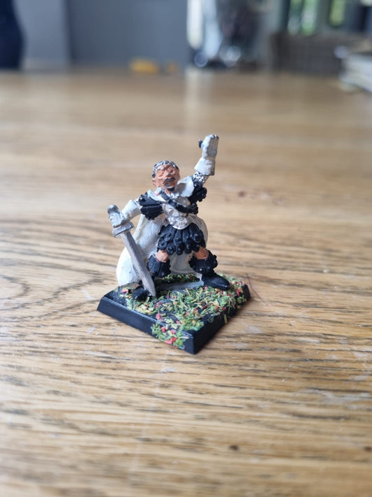 Lotr T 80s ME22 ELROND HALF ELF LORD OF THE RINGS  on foot Warhammer Citadel