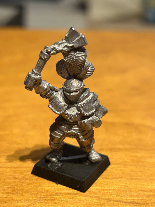 Warhammer Fantasy Old World reiksguard