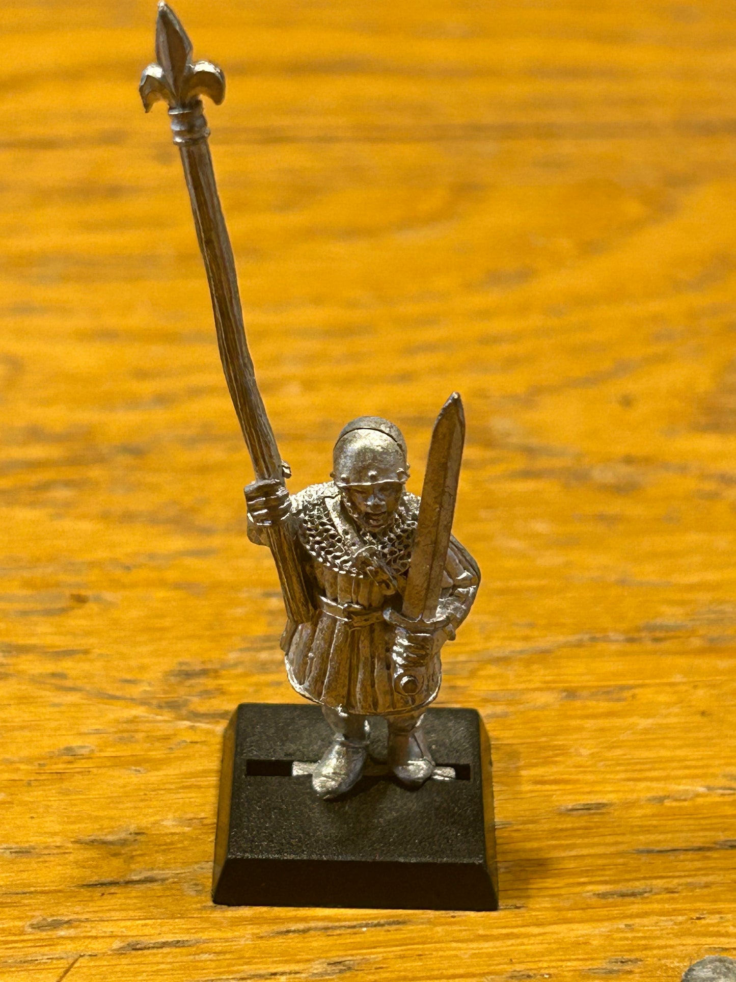 Warhammer fantasy bretonnian men at arms standard bearer