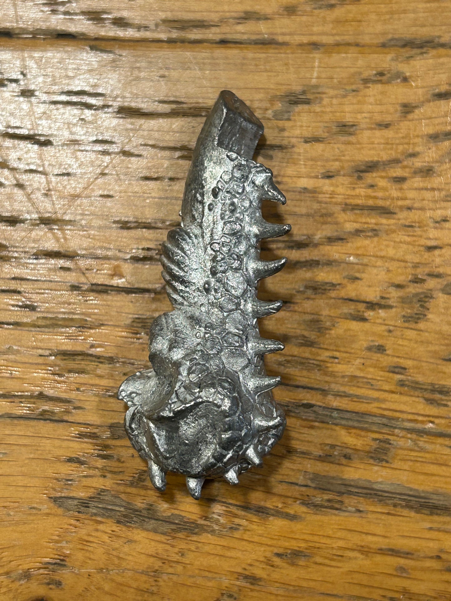 Chaos S Egrimm Van Horstmann Baudros dragon chest (4 available)