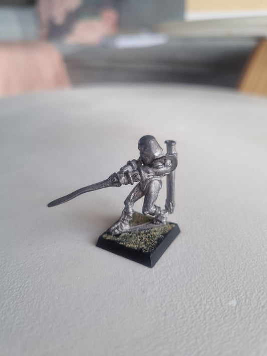 Warhammer fantasy c01 fighter Cedric