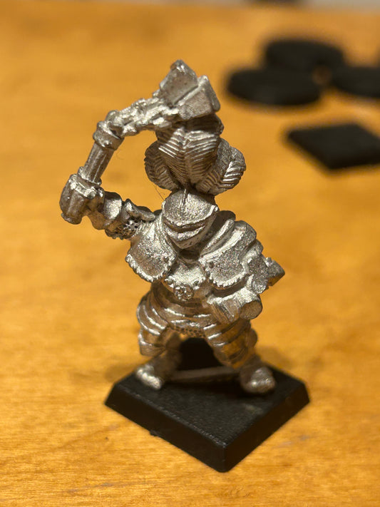Warhammer Fantasy Old World reiksguard