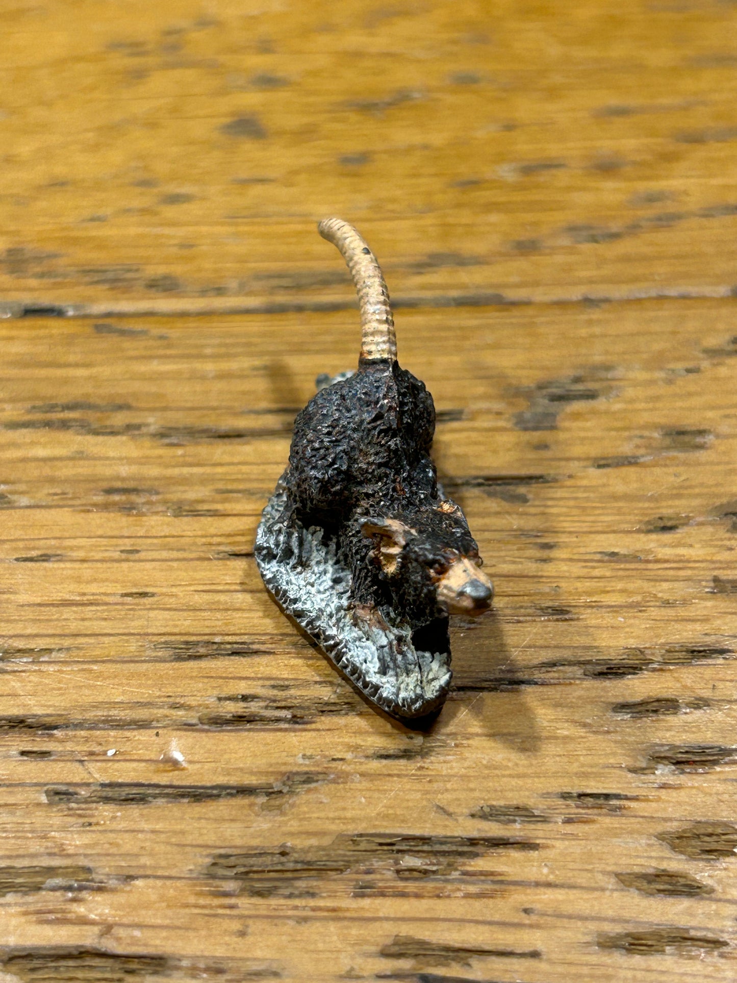 Warhammer fantasy skaven giant rat