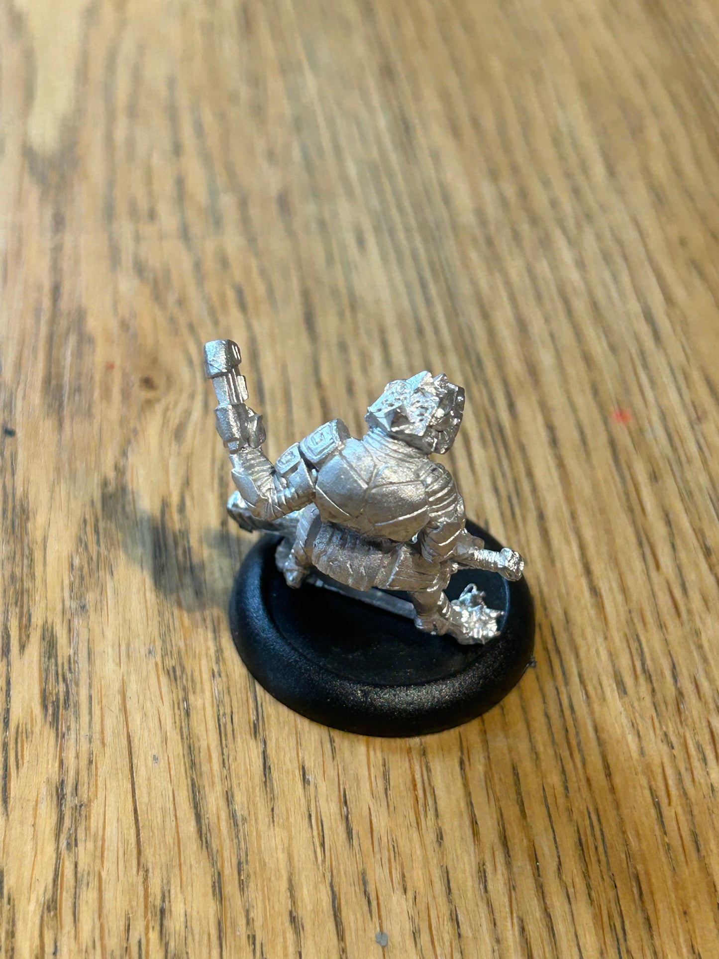 Diehard miniatures Eru-Kin Elite Guard