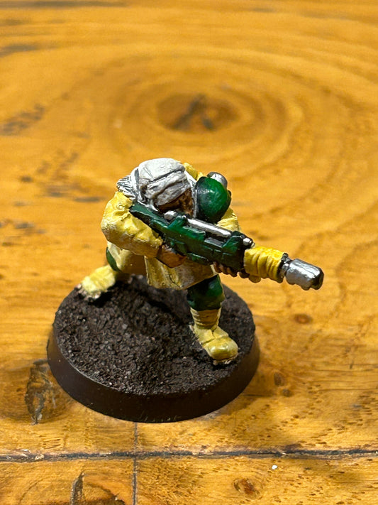 Tallarn desert raiders guardsman imperial guard warhammer 40k (nicely painted)