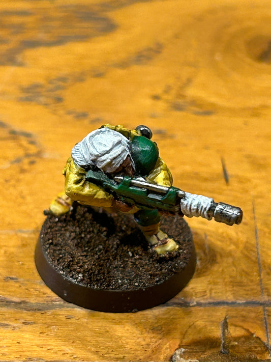 Tallarn desert raiders guardsman imperial guard warhammer 40k (nicely painted)