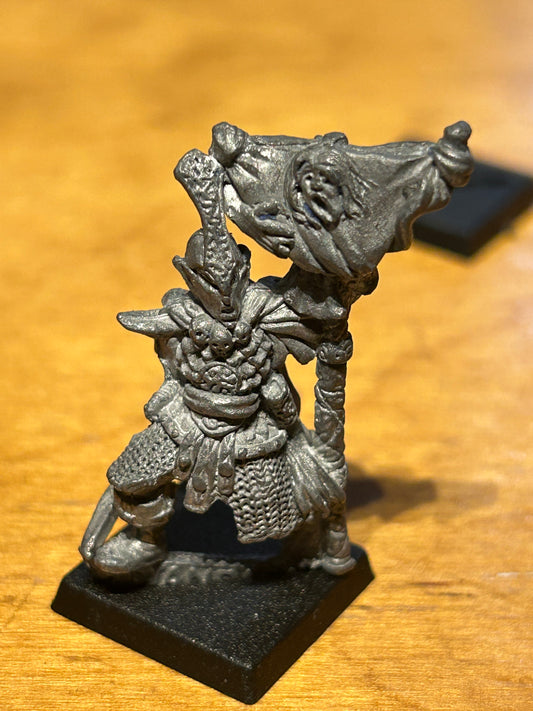 Warhammer Fantasy Citadel Dark Elf Elves RR11 Mengil Manhide's Standard Bearer