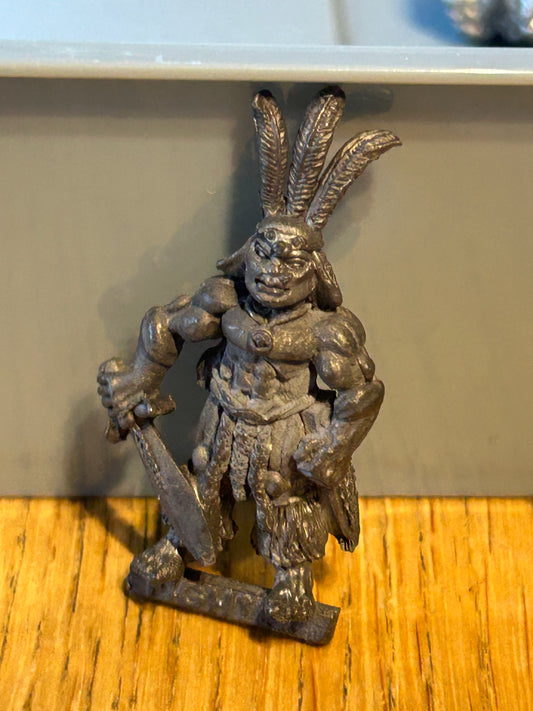 Warhammer fantasy c01 fighter/hero